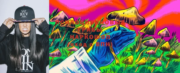 Альфа ПВП Аркадак
