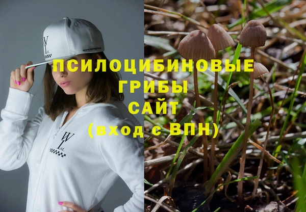 Альфа ПВП Аркадак
