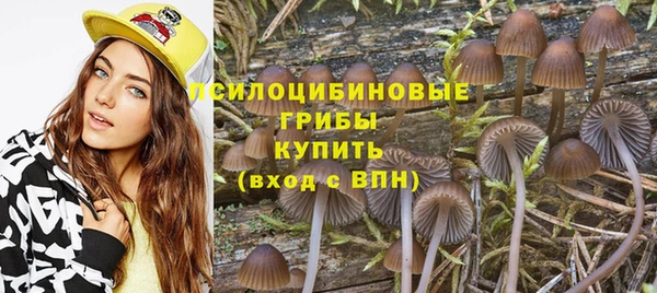 кокс Армянск